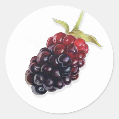 Realistic Watercolor Blackberry Jam Sticker Label