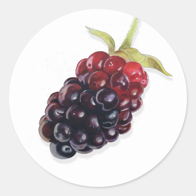 Realistic Watercolor Blackberry Jam Sticker Label (Front)