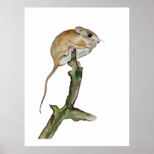 Realistic watercolor mouse in a tree poster