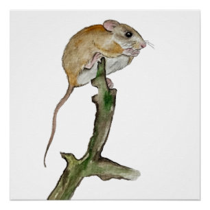 Realistic watercolor mouse in a tree poster