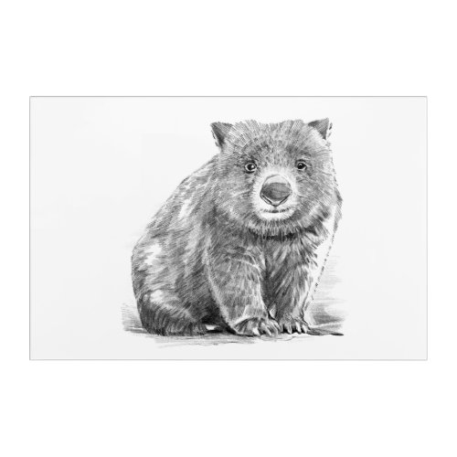 realistic wombat in pencil drawing style  acrylic print