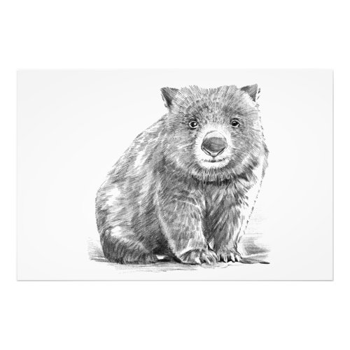 realistic wombat in pencil drawing style photo print