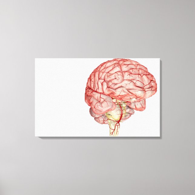 Realitic rendering of the human brain canvas print (Front)