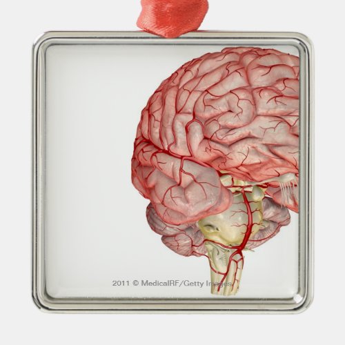 Realitic rendering of the human brain metal ornament