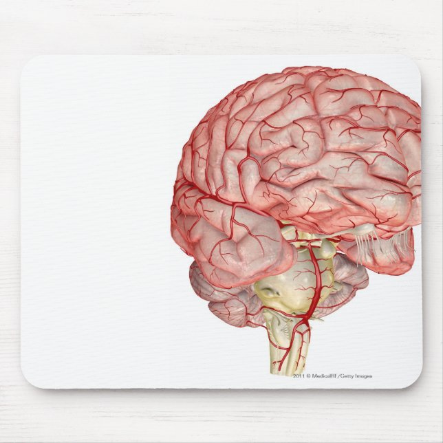 Realitic rendering of the human brain mouse pad (Front)