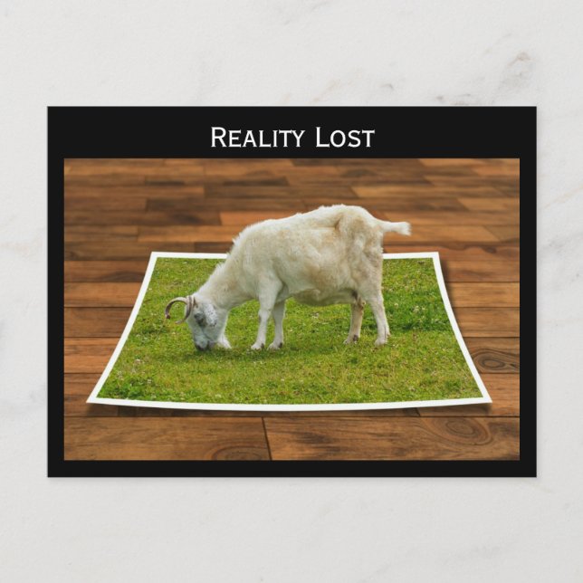 Reality Lost Goat Grazing on Paper Grass Postcard (Front)