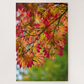 Really Colorful Fall Leaves Puzzle