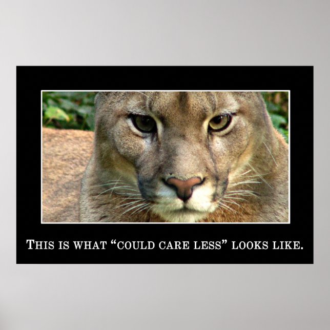 Really couldn't care less poster (Front)