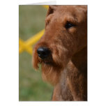 Really Cute Airedale Terrier Cards