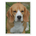 Really Cute Beagle Pup Temporary Tattoos
