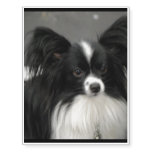 Really Cute Papillon Temporary Tattoos