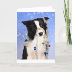 Really? Holiday Card