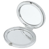 Really Pretty Vanity Mirror (Opened)