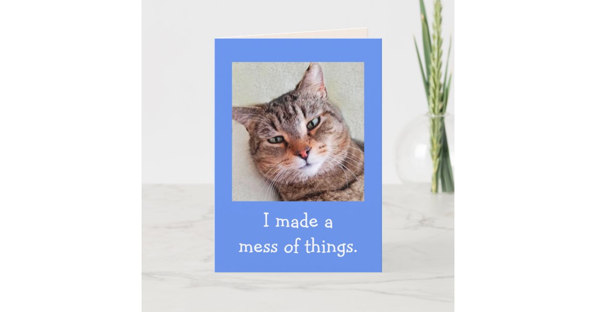 Really Sorry Cute Cat Apology Card | Zazzle