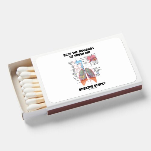 Reap The Rewards Of Fresh Air Breathe Deeply Lungs Matchboxes