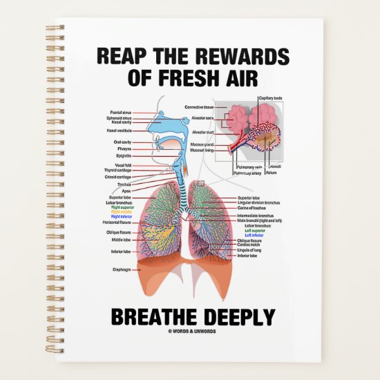 Reap The Rewards Of Fresh Air Breathe Deeply Lungs Planner