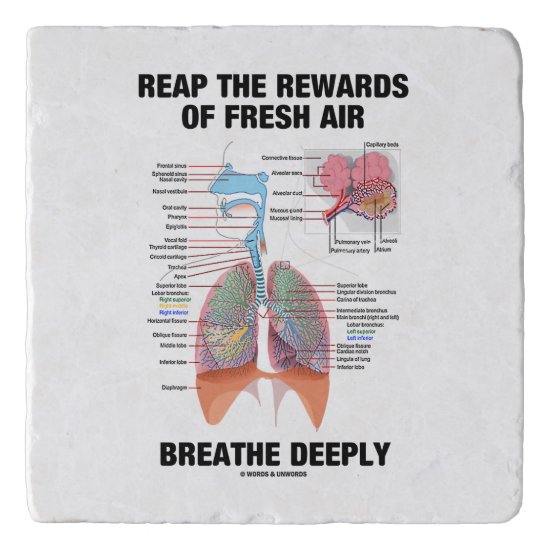 Reap The Rewards Of Fresh Air Breathe Deeply Lungs Trivet