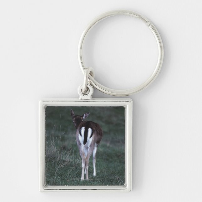 Rear view of a deer , New Zealand Keychain (Front)