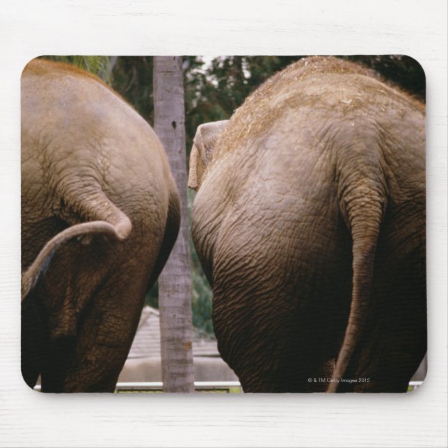 Rear view of Asian elephants Mouse Pad (Front)