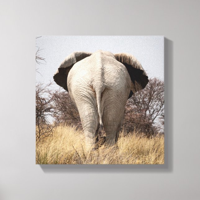 Rear view of elephant canvas print (Front)
