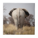 Rear view of elephant tile<br><div class="desc">Jaynes Gallery / DanitaDelimont.com | Africa, Namibia | Namibia, Etosha National Park, Okerfontein Waterhole. Rear view of elephant. Credit as: Wendy Kaveney / Jaynes Gallery / DanitaDelimont.com.</div>
