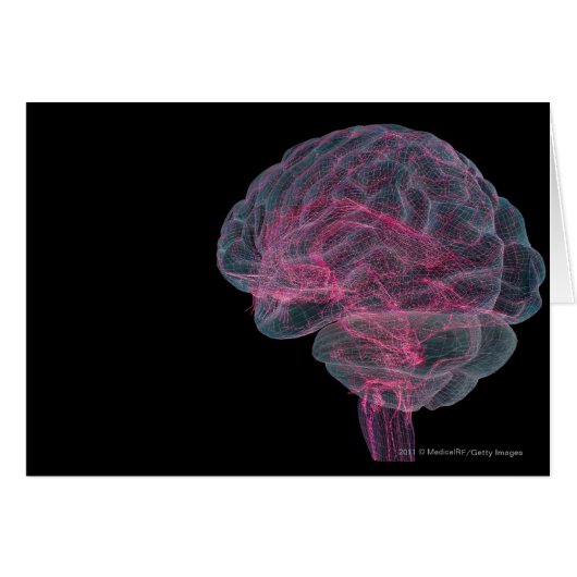 Rear view of the human brain (Front Horizontal)