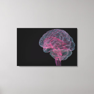 Rear view of the human brain canvas print