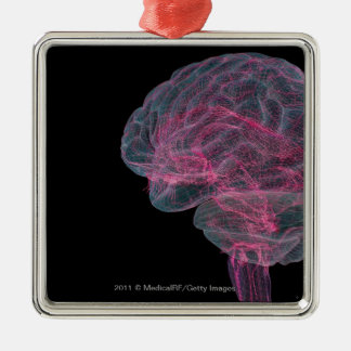 Rear view of the human brain metal ornament