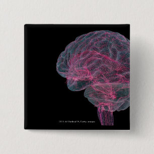 Rear view of the human brain pinback button