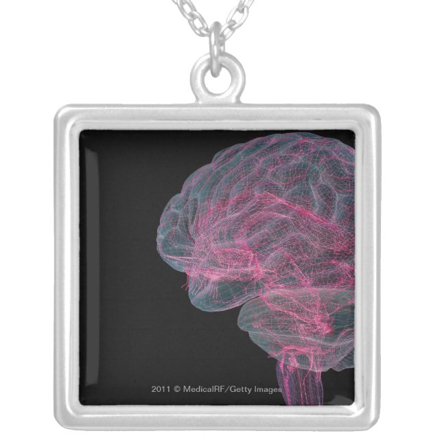 Rear view of the human brain silver plated necklace (Front)