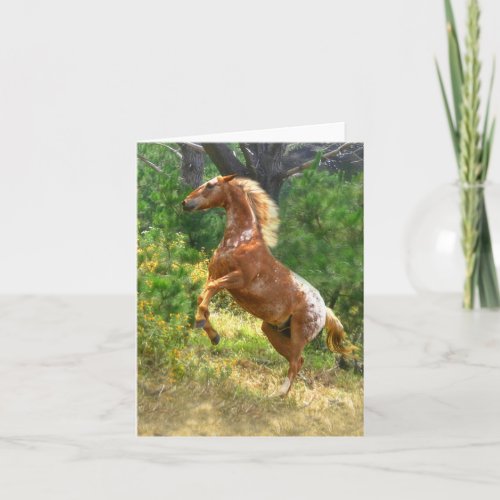 Rearing Appaloosa Horse Blank Note Card