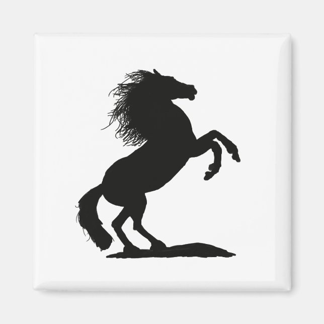 Rearing Black Stallion by Cussdum Designs Magnet (Front)