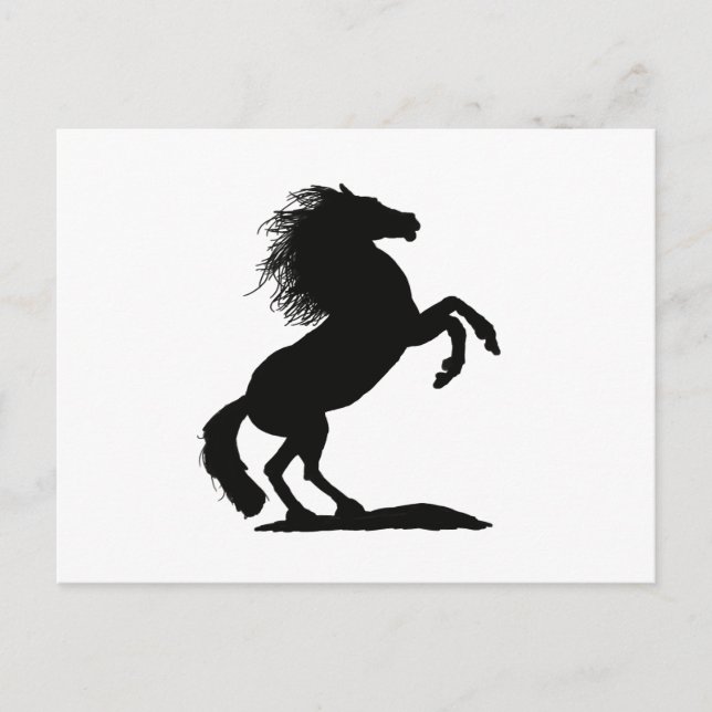 Rearing Black Stallion - Postcard (Front)
