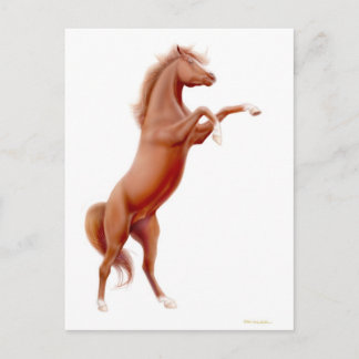 Rearing Chestnut Horse Postcard