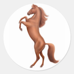 Rearing Chestnut Horse w sig Classic Round Sticker