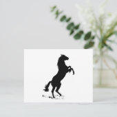 Rearing Horse (Standing Front)