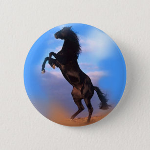Rearing Horse Button
