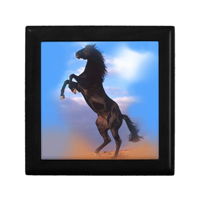 Rearing Horse Jewelry Box (Front)