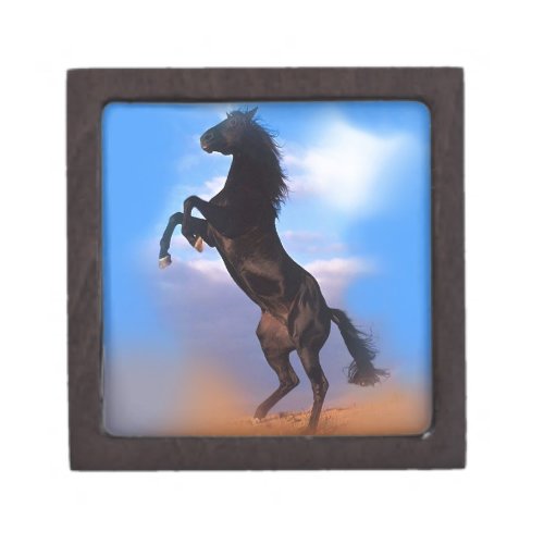 Rearing Horse Jewelry Box