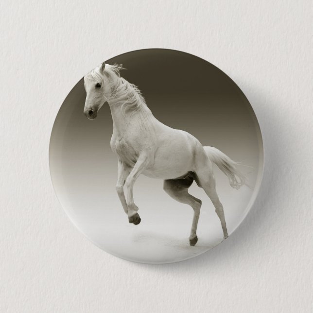 rearing horse pinback button (Front)