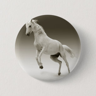 rearing horse pinback button