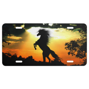 Rearing horse silhouette license plate