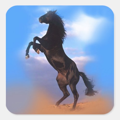 Rearing Horse Square Sticker