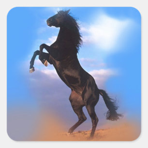 Rearing Horse Square Sticker