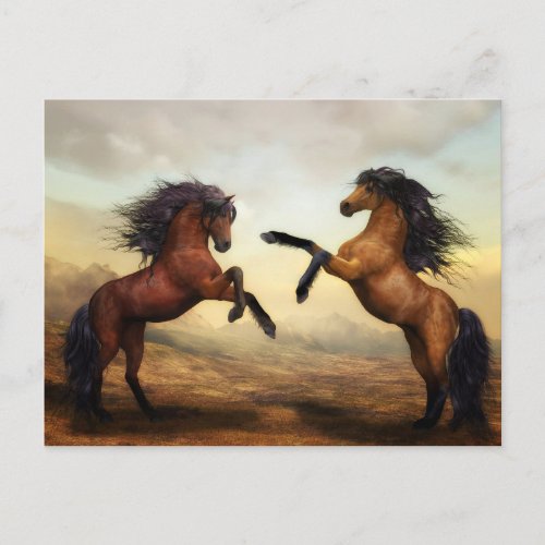 rearing horses postcard