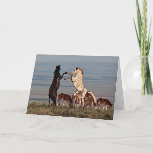 Rearing Stallions Greeting Card