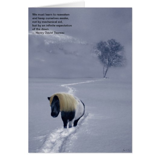 "Reawakening" Thoreau card (Front)