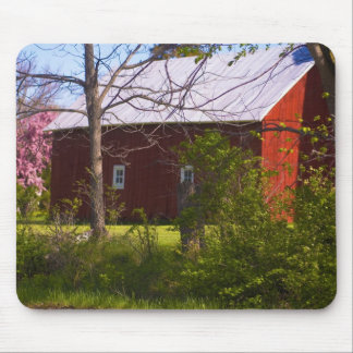 reb barn mouse pad