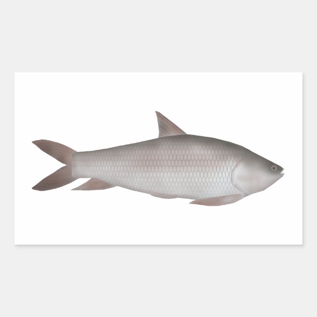 Reba Carp Rectangular Sticker (Front)