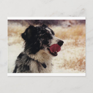 reba postcard